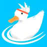 gogo体育登录app