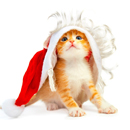 好运来app下载